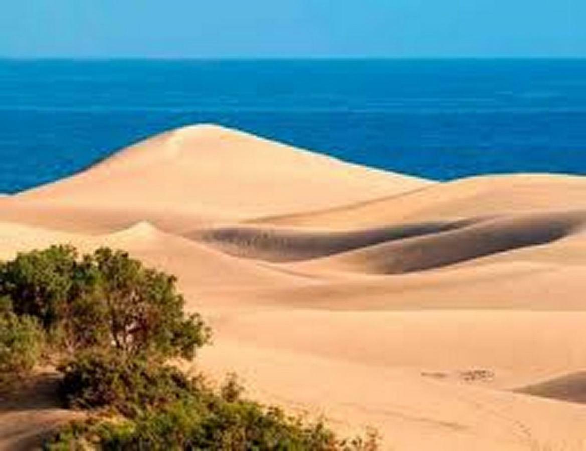 Bungalow Dunas&Sea Maspalomas Maspalomas (Gran Canaria) Exterior foto